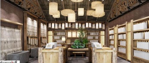 汇聚纳西文化精髓，复华集团丽江纳街成就非遗宝库与文化艺交盛典