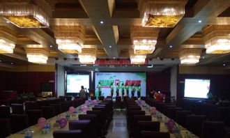 力扬文化传播公司 以专业策划助力文化艺术交流与展览